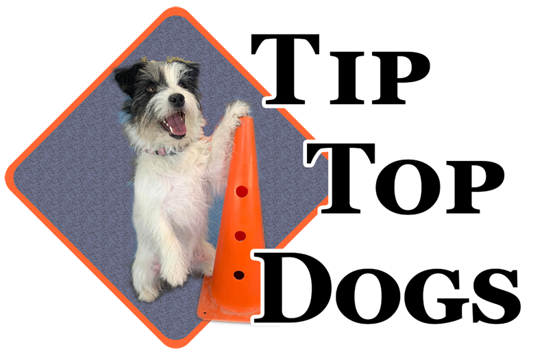 Tip Top Dogs - helping your dogs be their best!