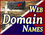 Website Domain Name Registrations, Renewals, and Transfers