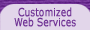 McDel Custom-Designed Web Services