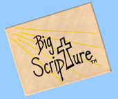 custom website design for for Big Scripture™ in Grand Junction Colorado