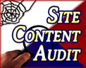 Website Content Audit