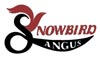 custom website design for Snowbird Angus - quality registered Angus bulls and AI in La Salle Colorado