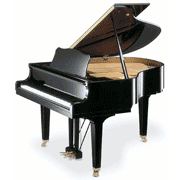 Website Power Hosting - baby grand piano